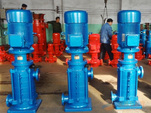 立式多级泵 忻州25LG3 10 9立式消防多级泵